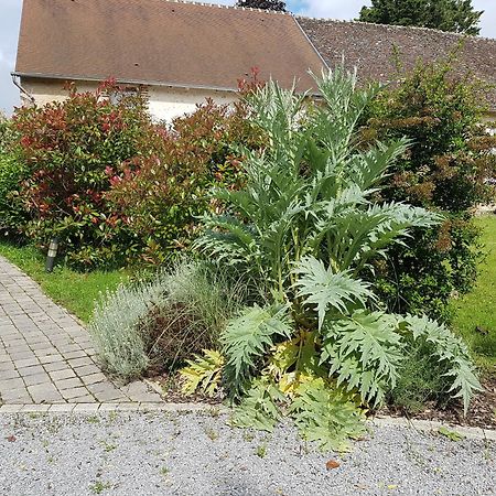 Les 7 Tilleuls - Gite Mesland Esterno foto