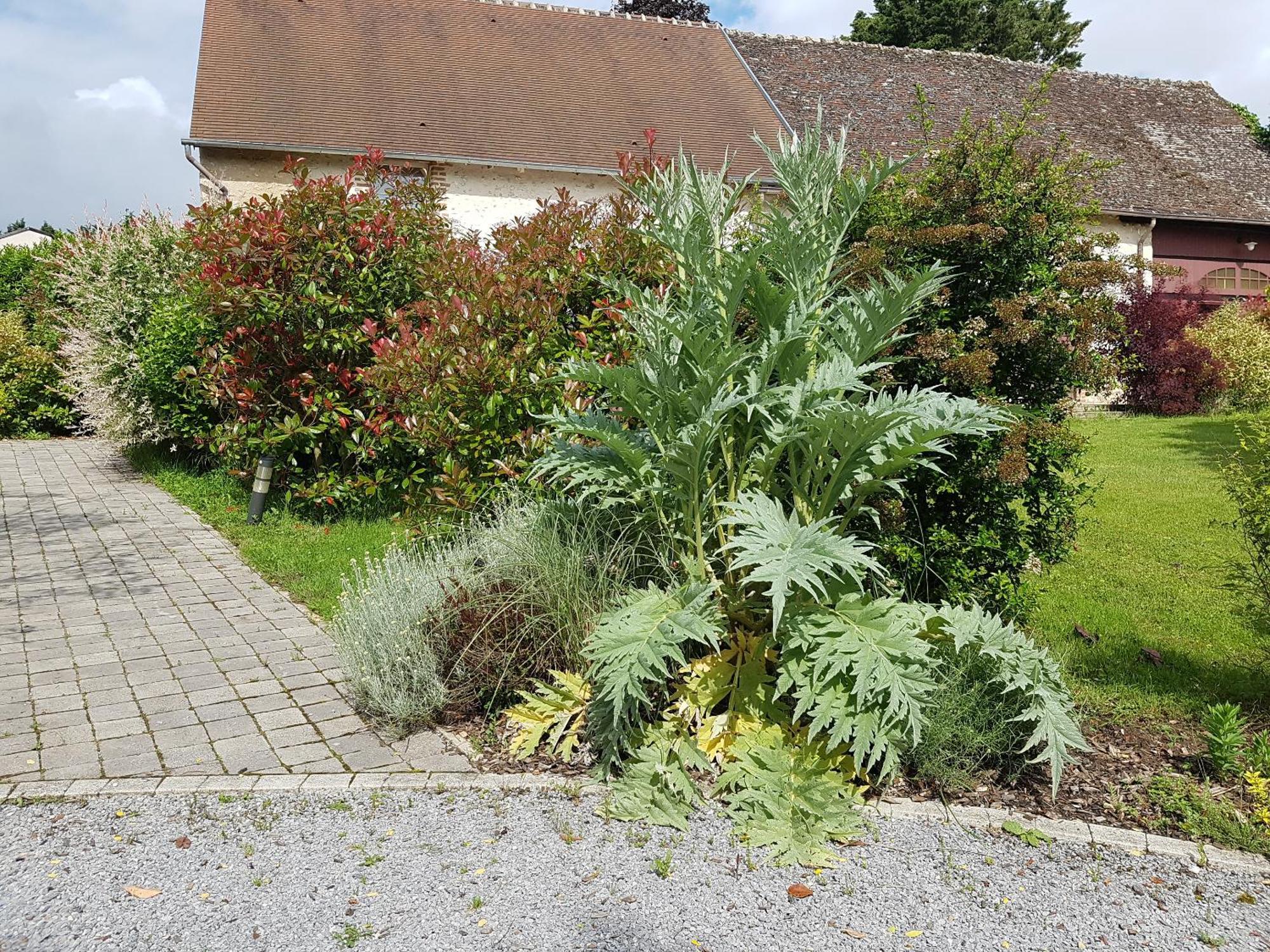 Les 7 Tilleuls - Gite Mesland Esterno foto